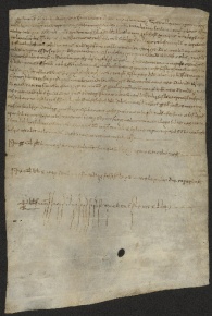 107 C.5.CVIIr, Donazione fatta da Domenico da Bazovara a Ingone vescovo, Modena, [1037, nov. 10-12]